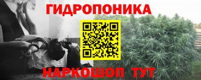 ешки Моздок