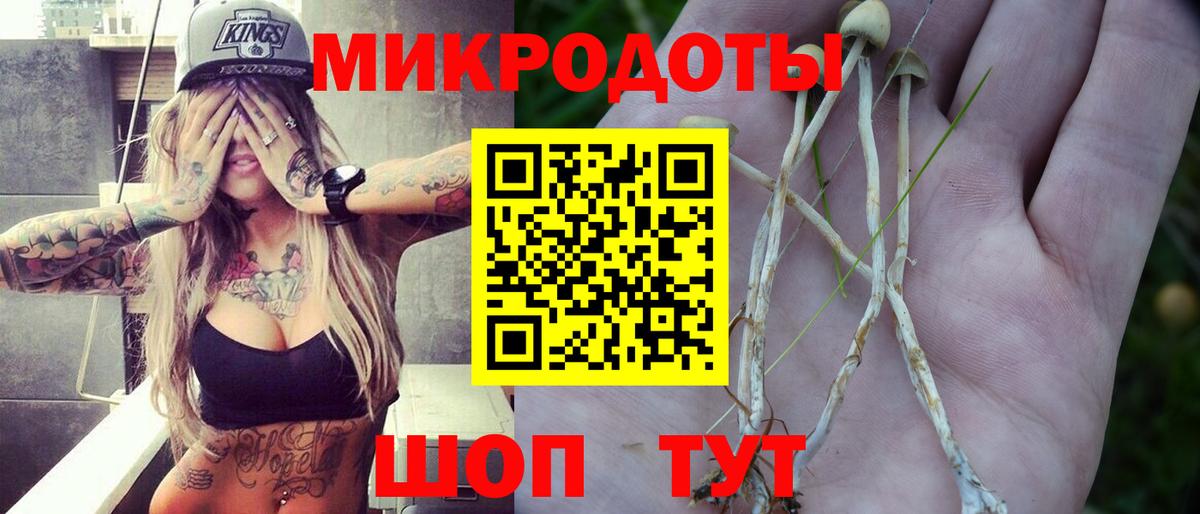 Бузулук  Галлюциногенные грибы GOLDEN TEACHER  Вход с VPN 